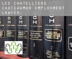 Les Châtelliers-Châteaumur  employment lawyer