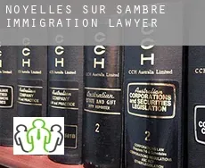 Noyelles-sur-Sambre  immigration lawyer