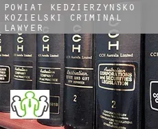 Powiat kędzierzyńsko-kozielski criminal lawyer
