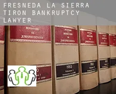 Fresneda de la Sierra Tirón  bankruptcy lawyer