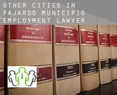Other cities in Fajardo Municipio  employment lawyer