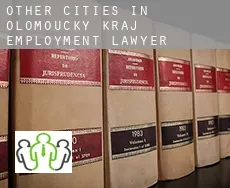 Other cities in Olomoucky kraj  employment lawyer