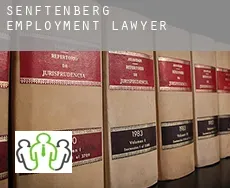 Senftenberg  employment lawyer