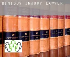 Biniguy injury lawyer