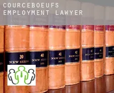 Courcebœufs employment lawyer