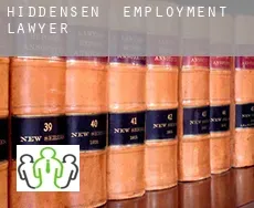 Hiddensen  employment lawyer