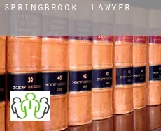 Springbrook  lawyer