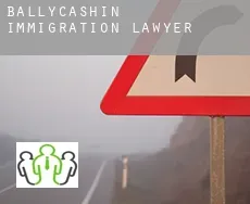 Ballycashin  immigration lawyer