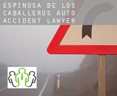 Espinosa de los Caballeros  auto accident lawyer