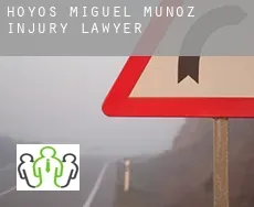 Hoyos de Miguel Muñoz  injury lawyer