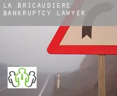 La Bricaudière  bankruptcy lawyer