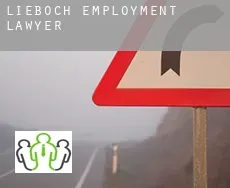 Lieboch  employment lawyer