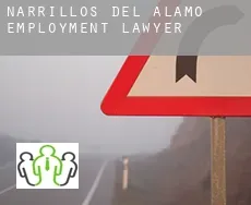 Narrillos del Álamo employment lawyer