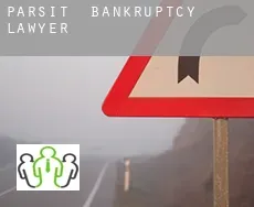 Parsit  bankruptcy lawyer
