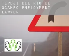 Tepeji de Ocampo  employment lawyer