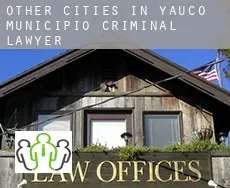 Other cities in Yauco Municipio  criminal lawyer