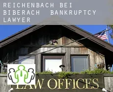 Reichenbach bei Biberach  bankruptcy lawyer