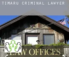 Timaru criminal lawyer