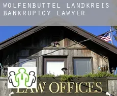 Wolfenbüttel Landkreis  bankruptcy lawyer