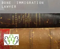 Bone  immigration lawyer