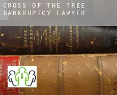 Cross of the Tree  bankruptcy lawyer