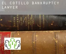 El Cotillo  bankruptcy lawyer
