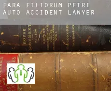 Fara Filiorum Petri auto accident lawyer