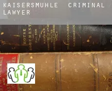 Kaisersmühle  criminal lawyer