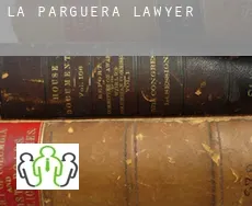 La Parguera  lawyer