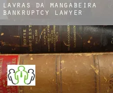 Lavras da Mangabeira  bankruptcy lawyer
