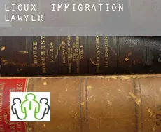 Lioux  immigration lawyer