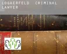 Logaerfeld  criminal lawyer