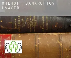 Ohlhof  bankruptcy lawyer