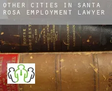 Other cities in Santa Rosa  employment lawyer