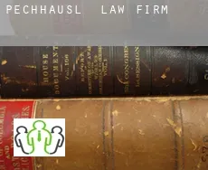 Pechhäusl  law firm