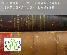 Schönau im Schwarzwald  immigration lawyer