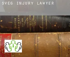 Sveg  injury lawyer