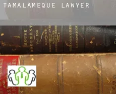 Tamalameque  lawyer