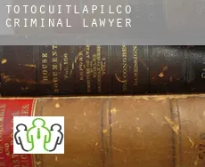 Totocuitlapilco  criminal lawyer