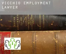 Vicchio  employment lawyer