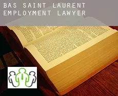 Bas-Saint-Laurent  employment lawyer