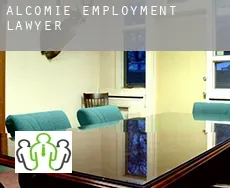 Alcomie  employment lawyer