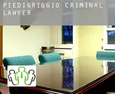Piedigriggio  criminal lawyer