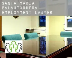 Santa Maria de Palautordera  employment lawyer