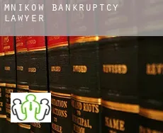 Mników  bankruptcy lawyer