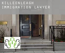 Killeenleagh  immigration lawyer