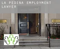 La Pedina employment lawyer