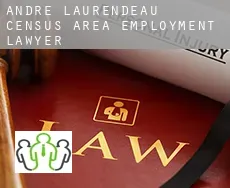 André-Laurendeau (census area)  employment lawyer