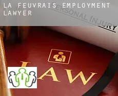 La Feuvrais  employment lawyer