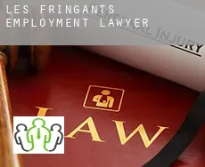 Les Fringants  employment lawyer